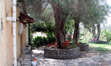 Mesonghi, Corfu , Vacation Rental House