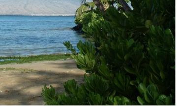 Kihei, Hawaii, Vacation Rental Condo