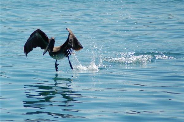 Okay I just love this picture!  LOL