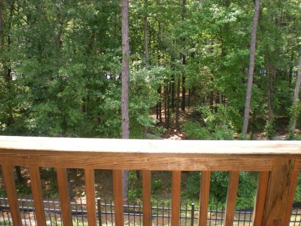 Forest View