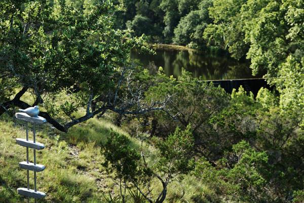 View of Lone Man Creek from veranda