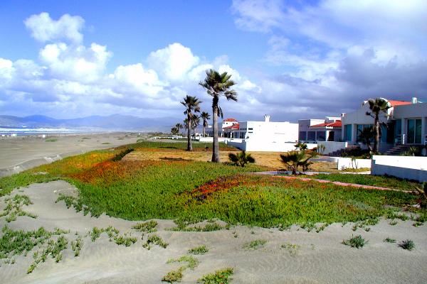 Located right on the sand