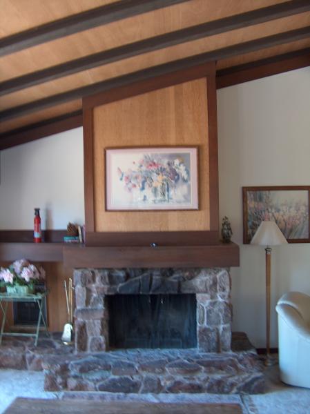 Wood Burning Fireplace in Living Room