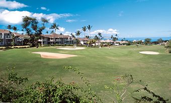 Wailea, Hawaii, Vacation Rental House