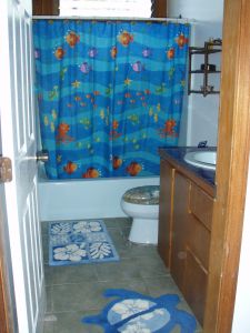 Fish and turtle themed bathroom