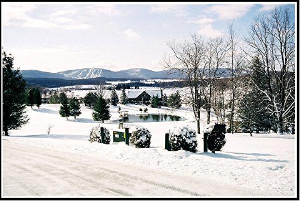 Black Bear Lodge