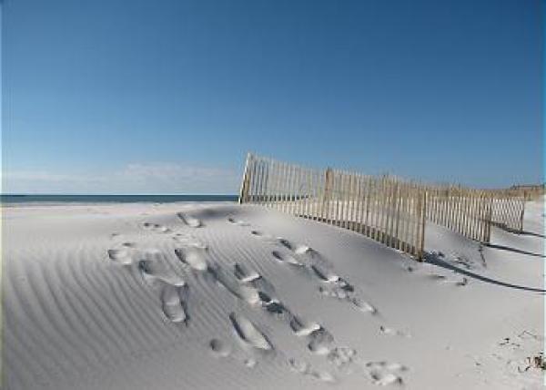 Beach View