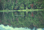 Calm Waters, Mirror Reflection
