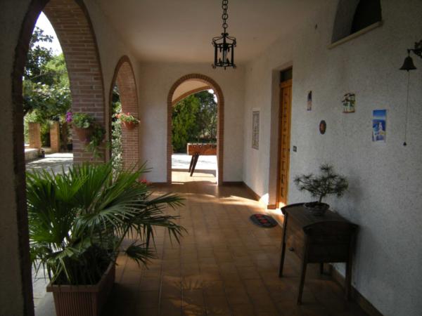Arcade