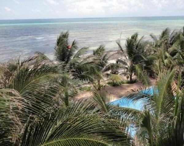 Ocean View from Terrace