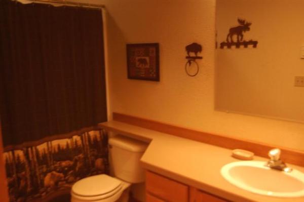 Lower Level Full Bath