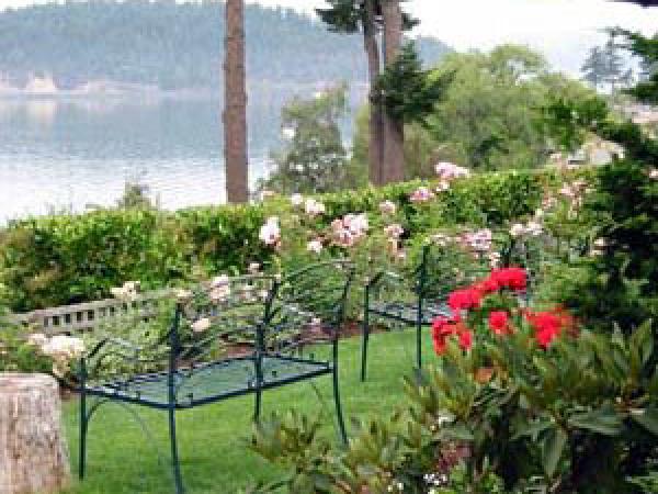 Garden and Water View