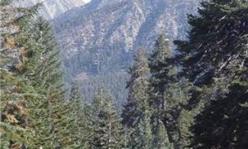 Mammoth Lakes, California, Vacation Rental House