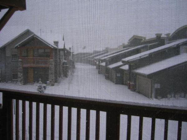 Snowfall View