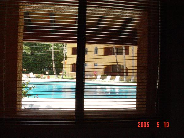 Pool View from Kitchen