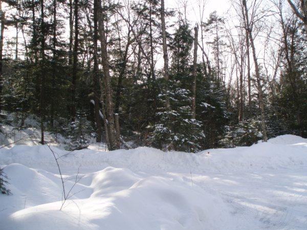Snow View