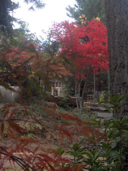 Our Spectacular Fall Foliage