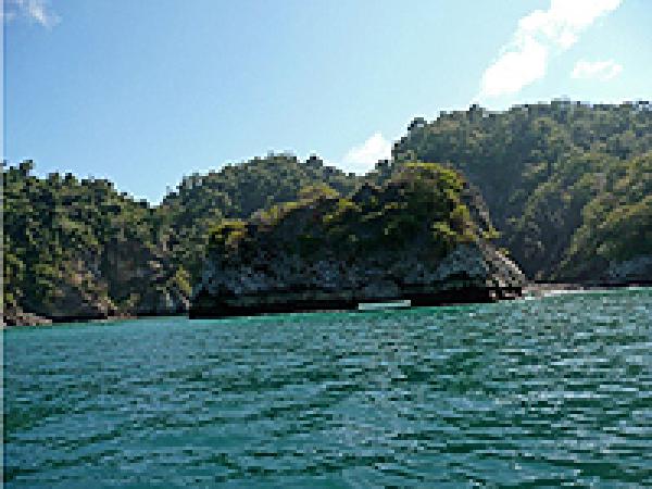 View of Ocean with Forest