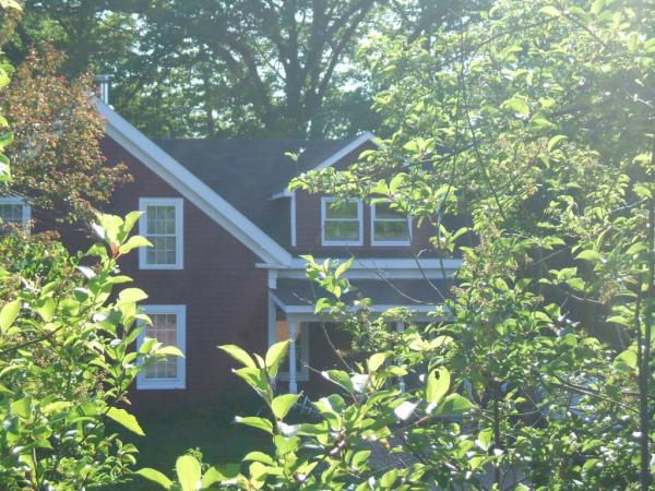 House View Between Tree