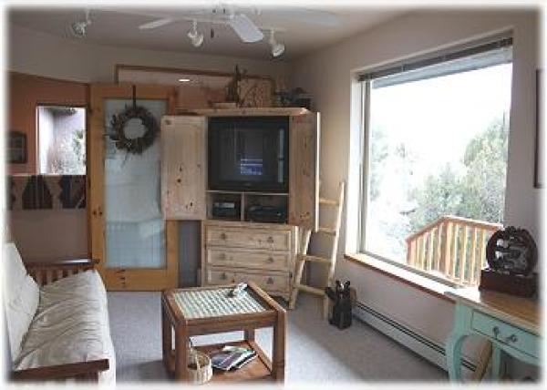 TV room in the guest wing