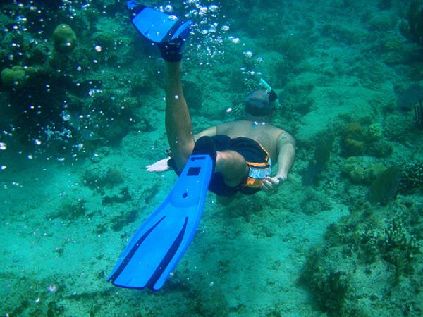 Snorkeling 