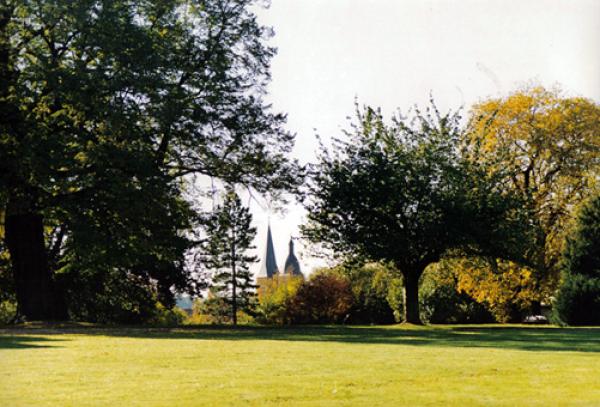 Red Tips and Park