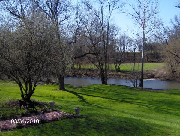 Looking out from the Sunroom