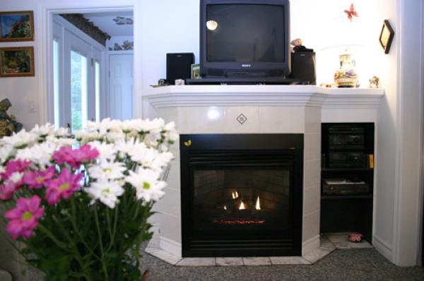 Living Room w/ TV and gas FP