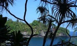 Pahoa, Hawaii, Vacation Rental Condo