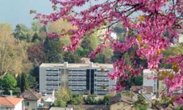 Locarno-Minusio, Ticino , Vacation Rental Condo