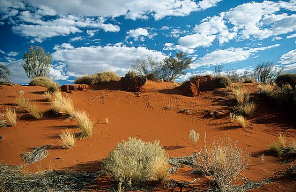 Sand Hollow State Park
