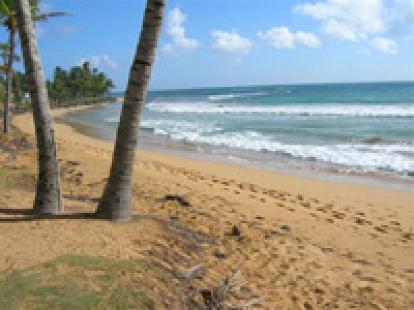 Luquillo, , Vacation Rental B&B