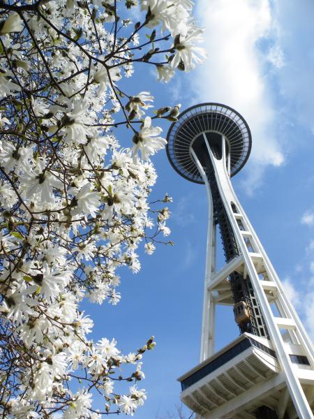 Seattle Space Needle - 20 Minutes Drive