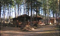 Hungry Horse, Montana, Vacation Rental Cabin