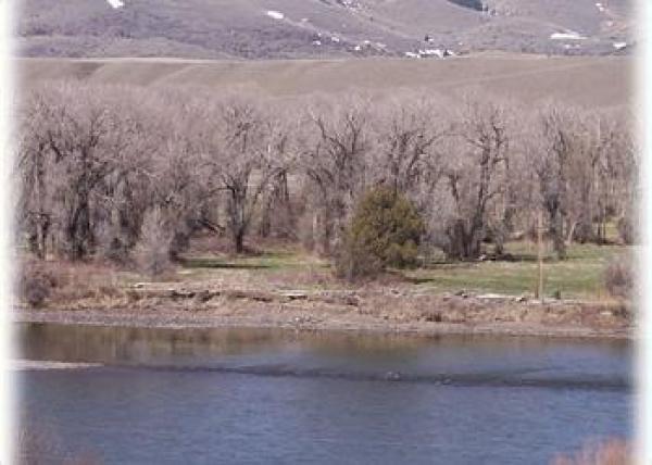 Gorgeous River Views - & Firepit Down by the River