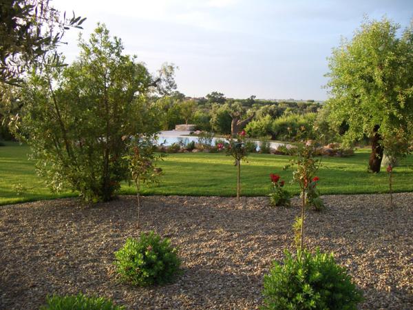 Another View of Garden