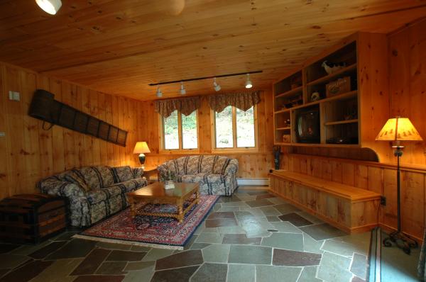 Large Family Room with Two Full Sleeper Sofas 