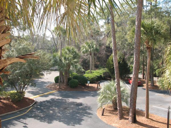 View from Balcony