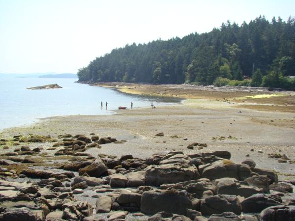 Low tide