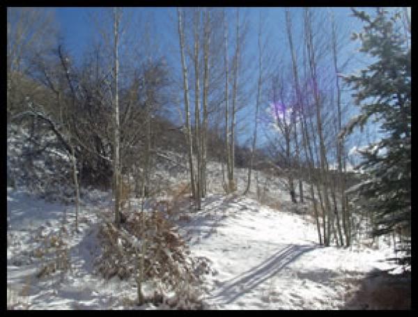 Deer Valley, Utah, Vacation Rental Condo