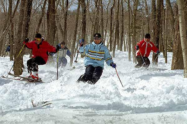 Skiing