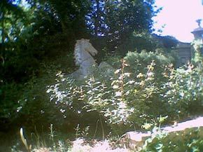 Horse statue in garden