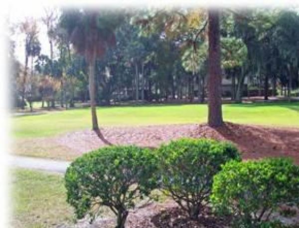 Golf view - 7th Tee