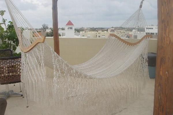 Rest w/Ocean Breeze on the Rooftop Hammock!