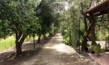 Siracusa, Sicily, Vacation Rental Condo