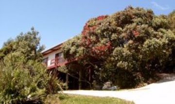 Kuaotunu, Coromandel, Vacation Rental House