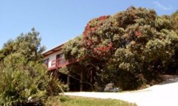 Kuaotunu, Coromandel, Vacation Rental House