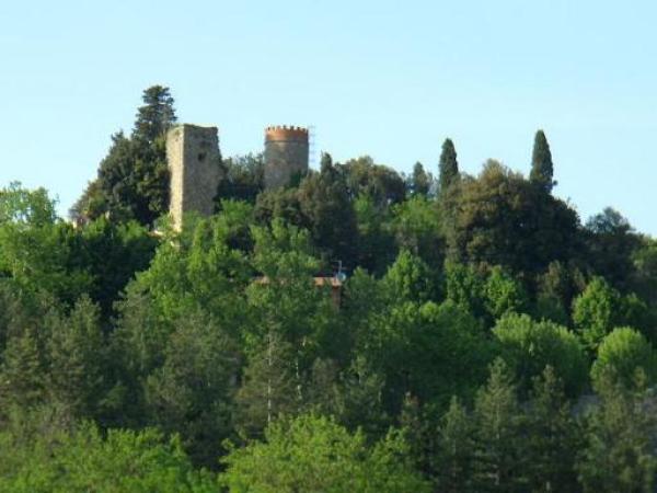 laterina  landscape 2