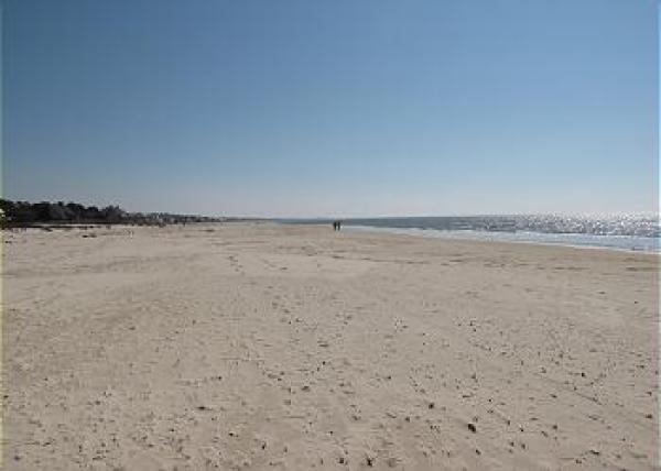 Beach View