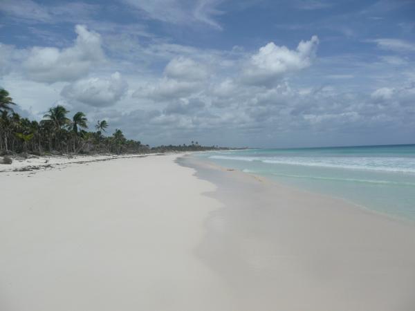 Beach view to north